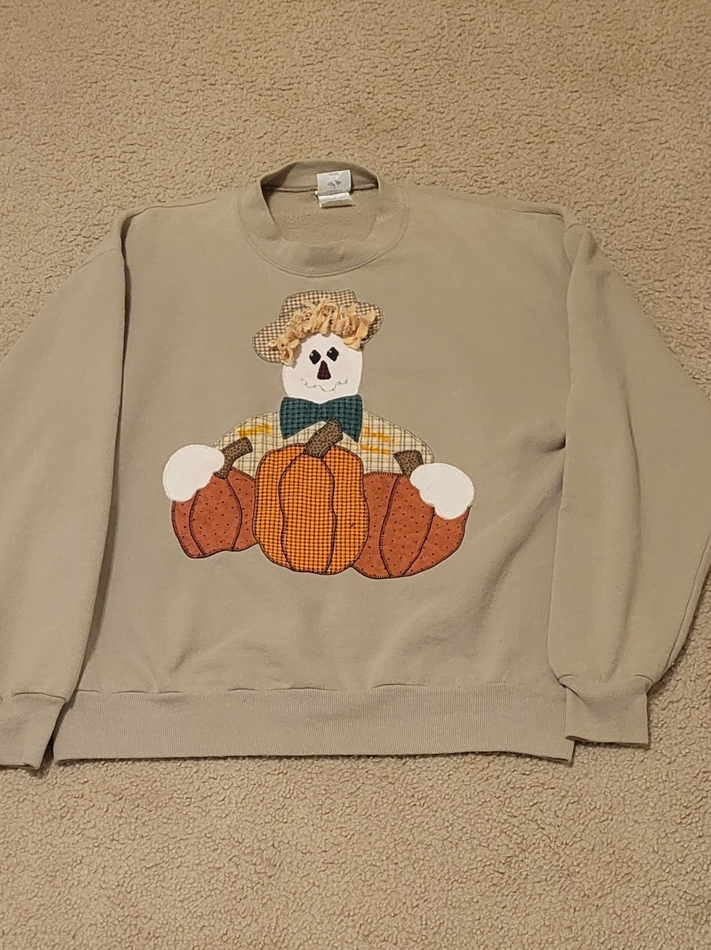 Womans Beige Fall Sweatshirt with Pumpkin Appliqué